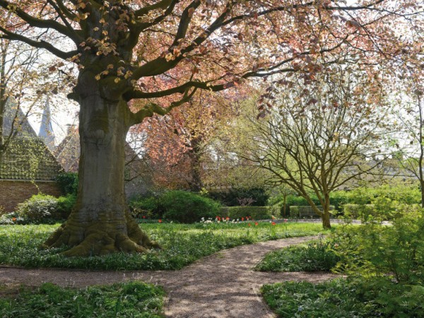 Achter het museum ligt een prachtige binnentuin, waar in het voorjaar stinsenflora te zien is.
