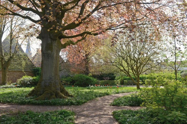 Achter het museum ligt een prachtige binnentuin, waar in het voorjaar stinsenflora te zien is.